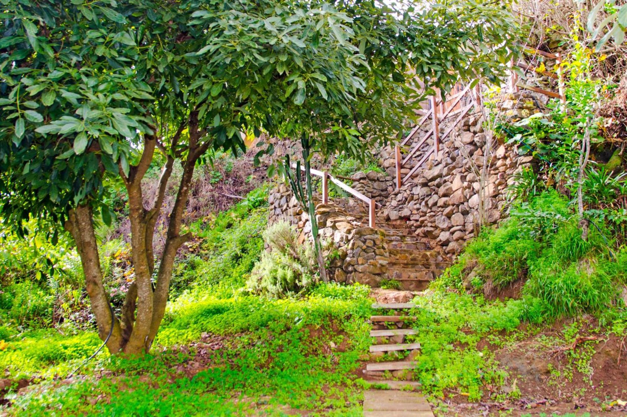 Zenda De Fontanales Villa Moya  Екстериор снимка